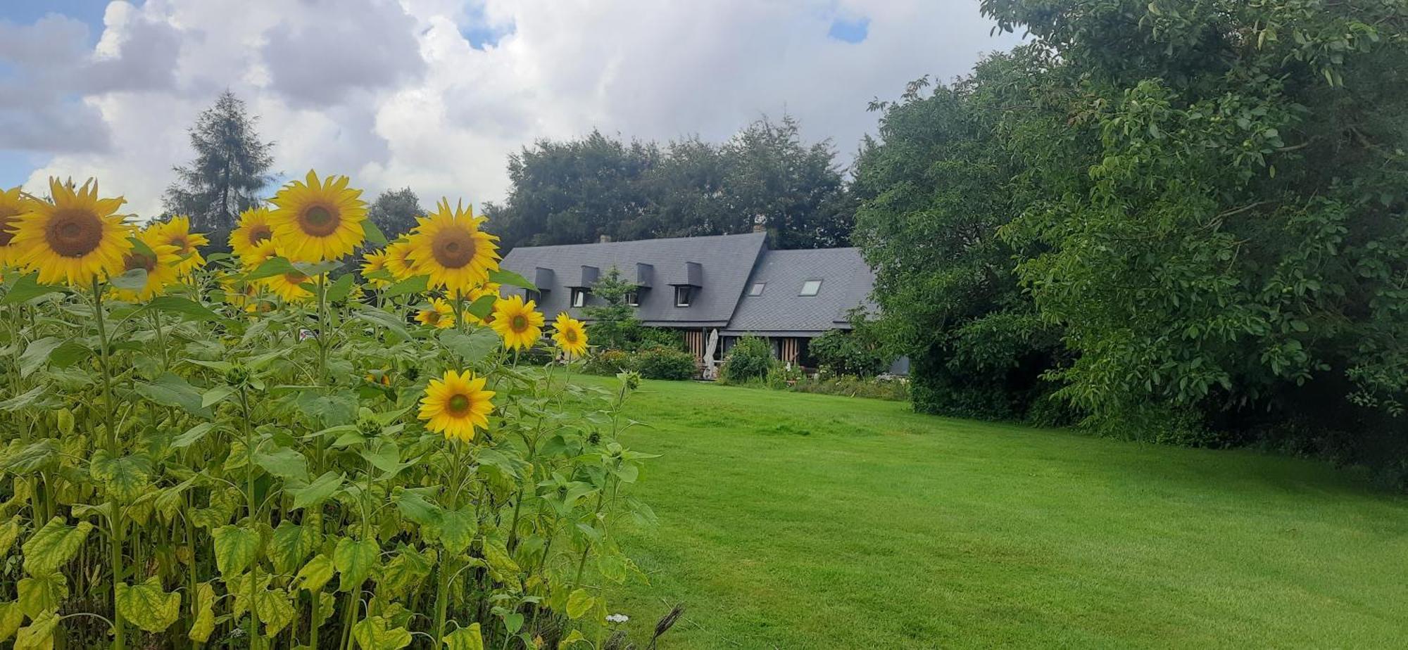 Le Lit De La Saane Bed and Breakfast Auzouville-sur-Saâne Buitenkant foto